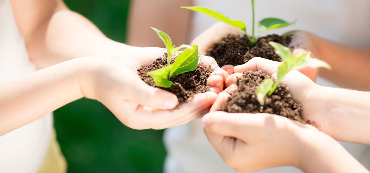 Økologiske gårde i Toscana