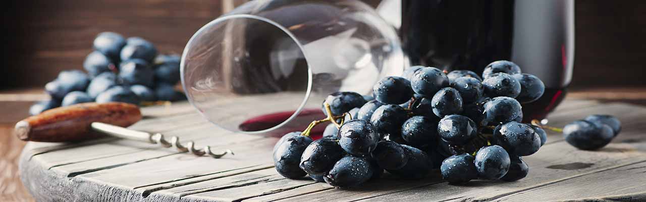 Landsteder med vinsmagning i Langhe-regionen