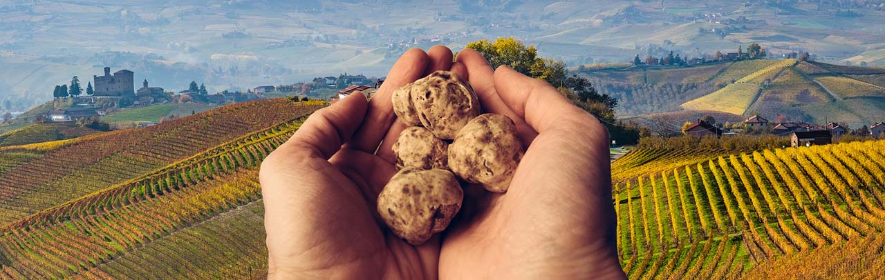 Enogastronomisk weekend i Italien: de største begivenheder dedikeret til trøffel